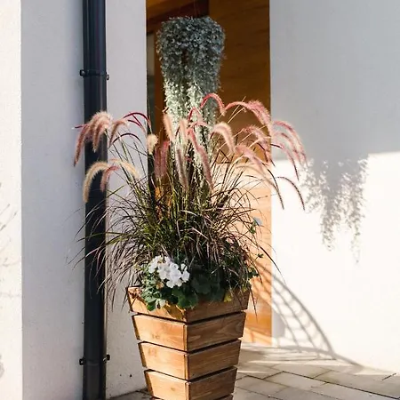 Monica Aparthotel