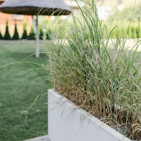 Apartmanhotel Monica