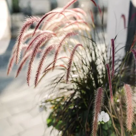 Apartmanhotel Monica 4*